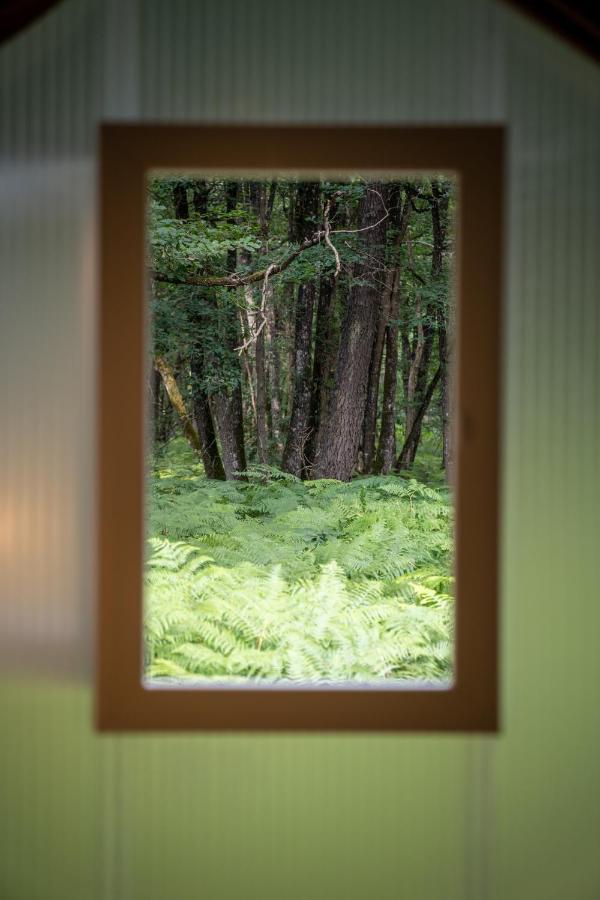 Camping Bois de St Hilaire Chalandray Extérieur photo