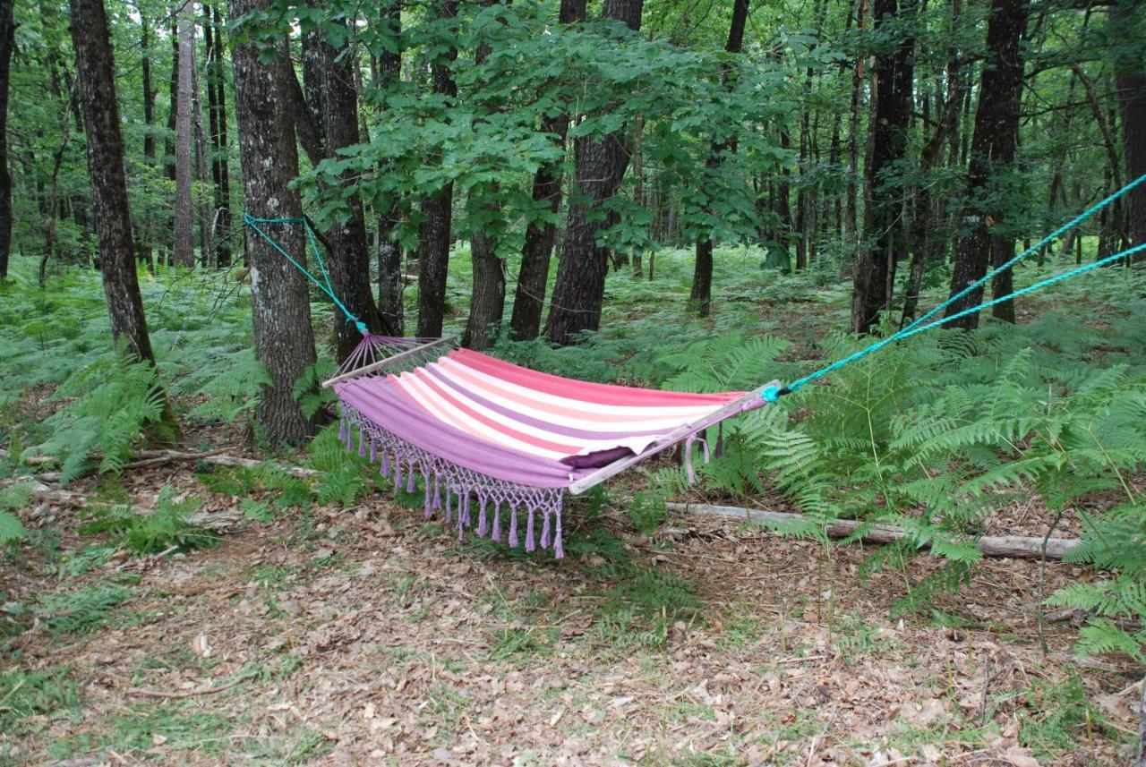 Camping Bois de St Hilaire Chalandray Extérieur photo
