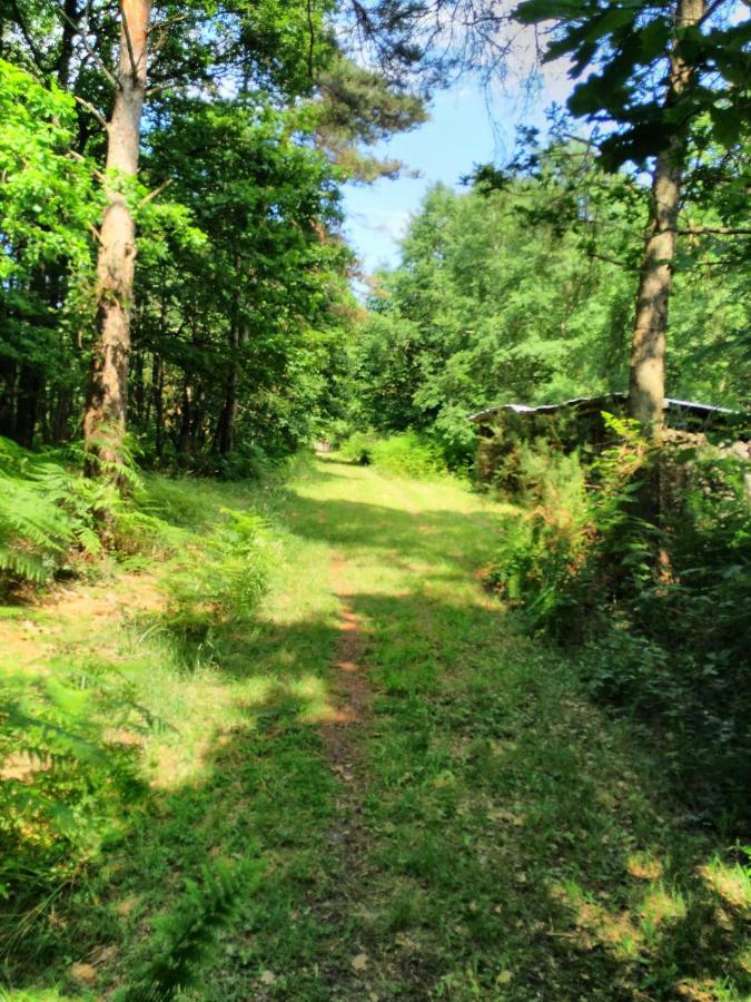 Camping Bois de St Hilaire Chalandray Extérieur photo